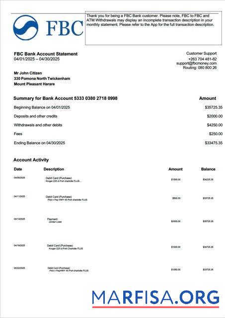 Downloadable Zimbabwe FBC bank account statement word example